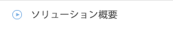 ソリューション概要